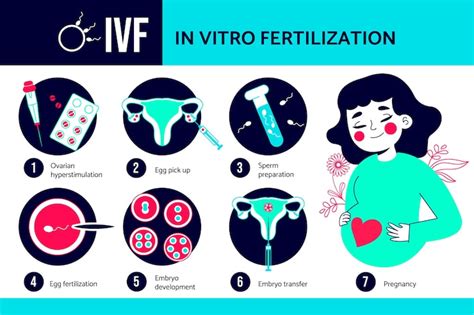 Page 8 | Egg freezing fertility Images - Free Download on Freepik