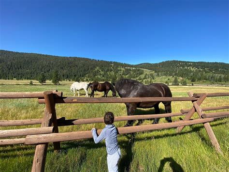 320 GUEST RANCH (Gallatin Gateway) - Ranch Reviews, Photos, Rate ...