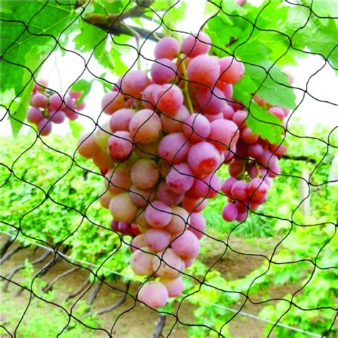 Vasudev Polyplast Pvt Ltd