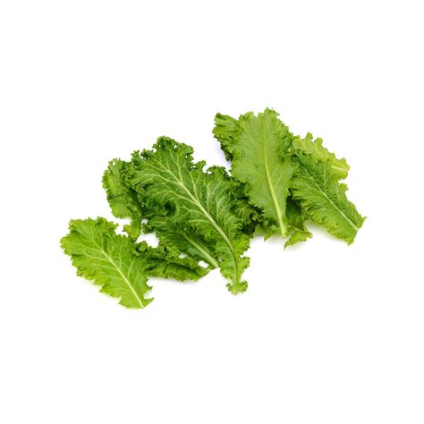 Mustard Florida Broad Leaf Seeds – GardenGuru