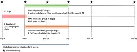 Recovery of Fecal Microbiome and Bile Acids in Healthy Dogs after ...