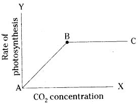 ts scert 10th class Biology Lesson 1 Nutrition