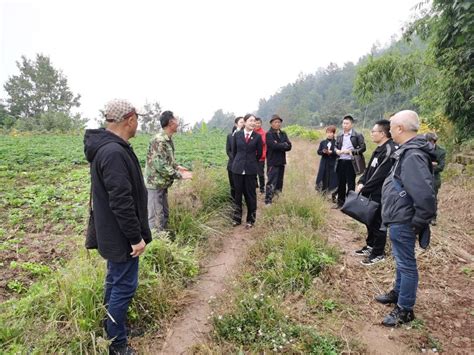 案例探析：农村土地矛盾纠纷导致人身伤害的权益保护探析 - 知乎