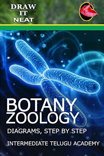 Intermediate Botany and Zoology.: Diagrams in progressive steps (1 ...