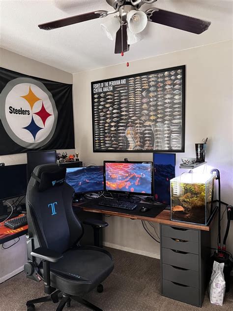 Image result for Computer Entertainment