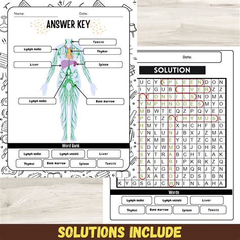 Image result for Lymphatic System Worksheet