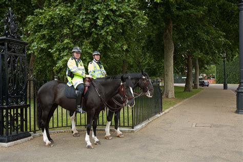 Policing & safety | The Royal Parks