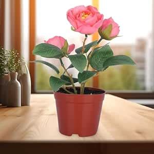 Kuber Industries Artificial Plants For Home Décor|Artificial Flowers ...