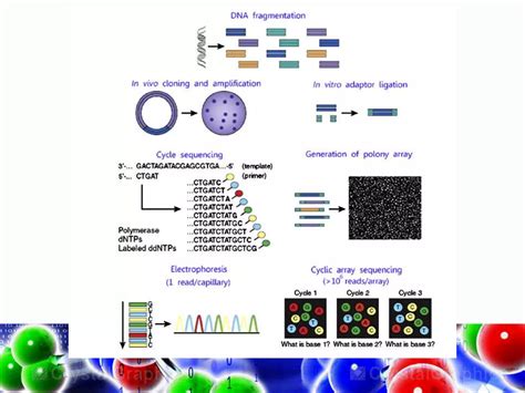 Understanding Transcriptomics 的图像结果