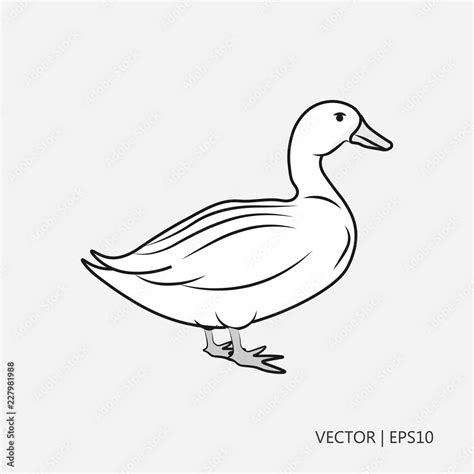 Image result for Simple Duck Drawing