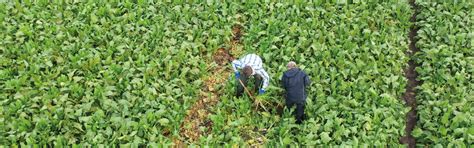 Thema des Monats | Thema des Monats Oktober 2021