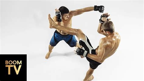 Image result for MMA Streaming