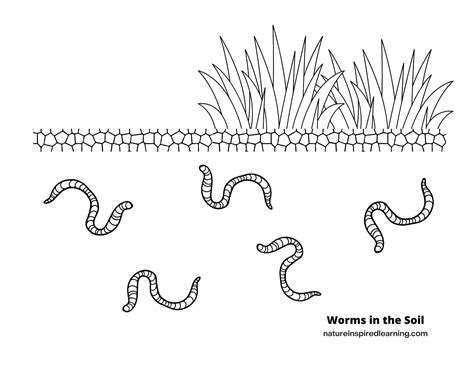 Wiggly Worm Coloring Pages - Nature Inspired Learning