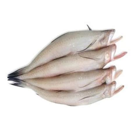 Buy Pacific Sea Foods Fish - Bombay Duck / Bombil Online at Best Price ...