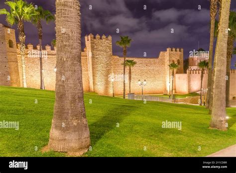 Image result for Syncro Rectifier Module
