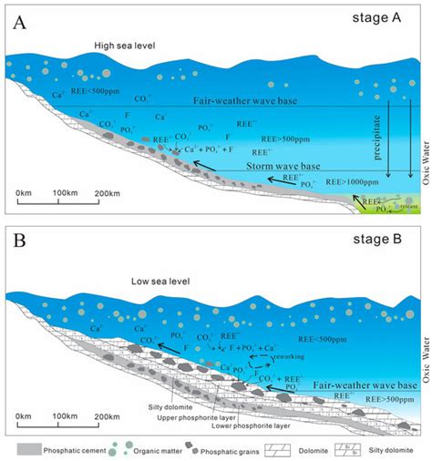 Geochemistry and Enrichment of Rare Earth Elements in Phosphorite ...