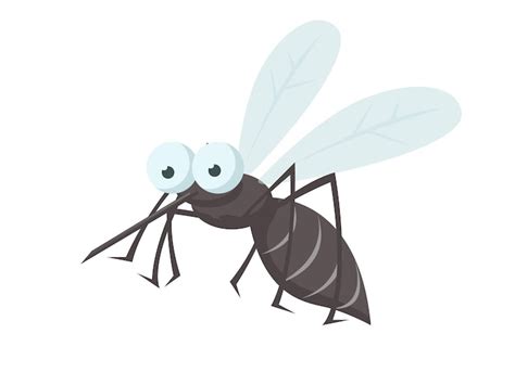 Mosquito Images - Free Download on Freepik