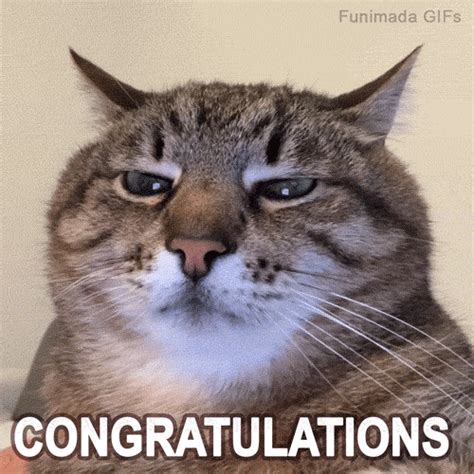 Congrats Congratulations Gif Funny
