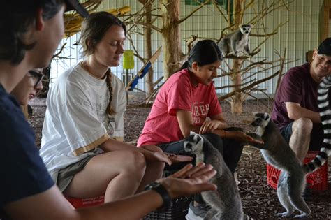 Animal Camp - Cub Creek Science Camp (Rolla, USA) - prices 2025 ...