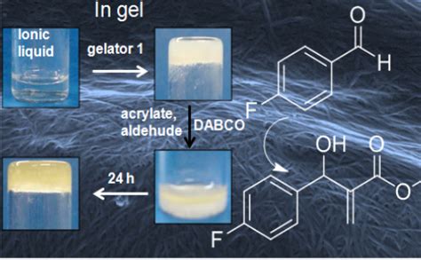 Prof. Debasish Haldar/publications/iiser kolkata/DCS/Faculty/chemistry