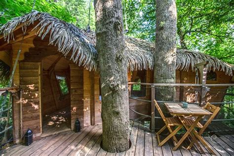 SUR UN ARBRE PERCHE (Pons) - Lodge Reviews & Photos - Tripadvisor