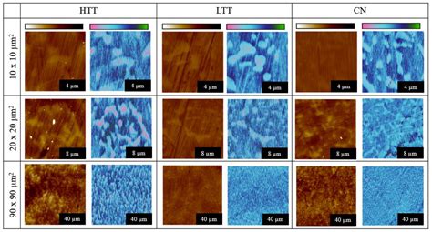 Corrosion Initiation and Propagation on Carburized Martensitic ...