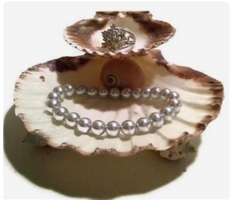 Image result for Shells Do It Yourself