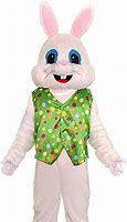 Image result for Easter Bunny Costume Background