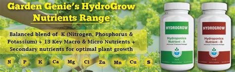 Garden Genie Hydro Grow A & B Nutrient (250ML) | NPK, Macro & Micro ...