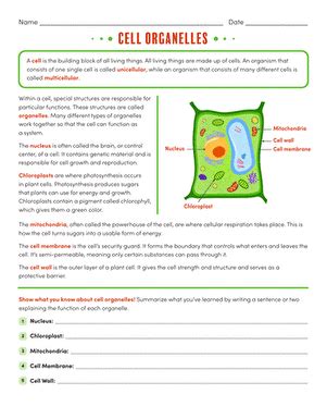 Worksheets Human Cell Structure 的图像结果