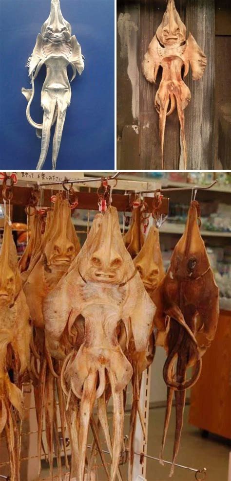 Image result for Utmost Terrifying