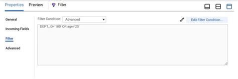 Informatica Filter 的图像结果