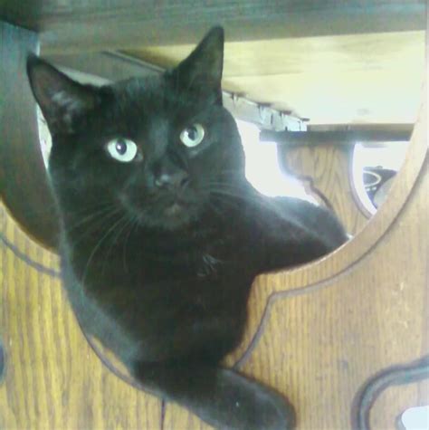 Some Other Guy Reading Public Domain Poetry