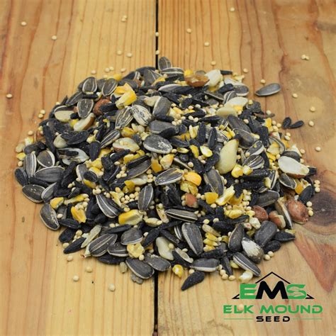 Songbird Wild Birdseed Mix, premium bird seed blend, black oil ...