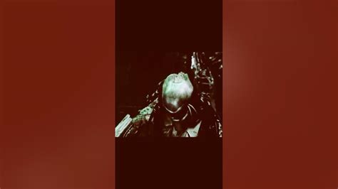 Image result for Alien vs Predator Fight