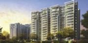 UNITECH LIMITED, Gurgaon