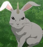 Image result for Anime Bunny Eyes