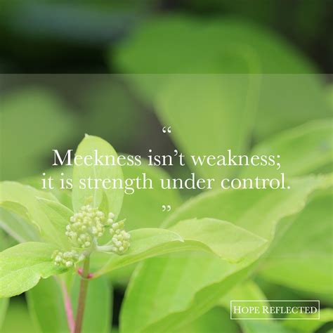 Image result for Meekness Examples