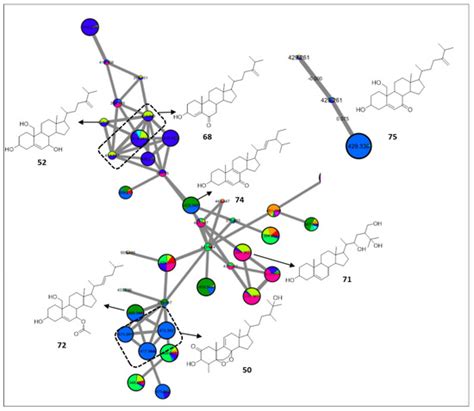 Molecular Network Guided Cataloging of the Secondary Metabolome of ...
