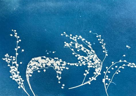 CYANOTYPE MAGIC!!! Workshops with ASU Art Professors Ansley Simmons and ...