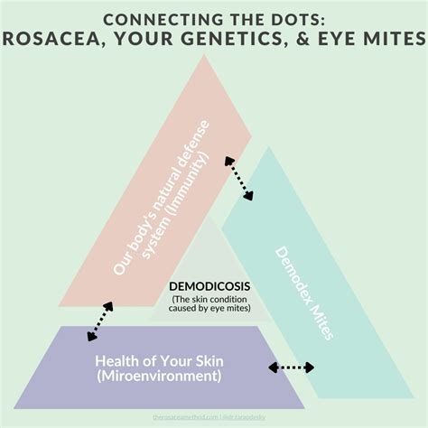 10 Signs Demodex Mites are Dying off: Symptoms, Treatment, and Die Off Effects | The Rosacea Method