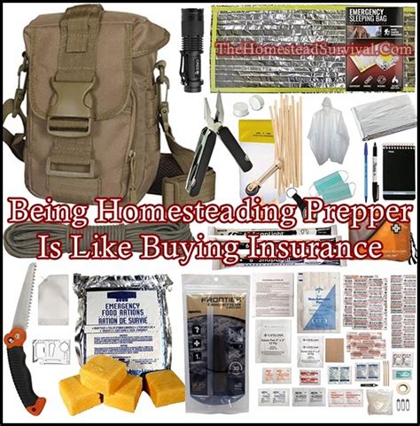 Image result for Prepper Homesteading