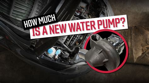 Car Water Pump Price Water Pump Replacement Cost: Dollars And Drops
