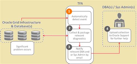 Oracle SQL Trace Analyzer 的图像结果