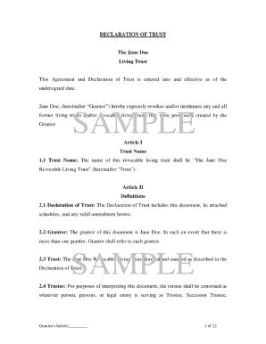 21+ Free Editable Declaration Agreement Templates in MS Word [DOC ...