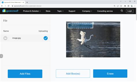 Image result for Apowersoft Remove Watermark