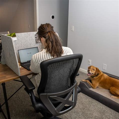 Buy Acoustic Partition - Reduce Noise and Visual Distractions - Sound ...