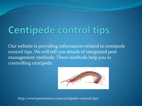 Centipede control tips | PPTX