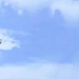 Best Top Rated National park in Kollam, Kerala, India | Yappe.in