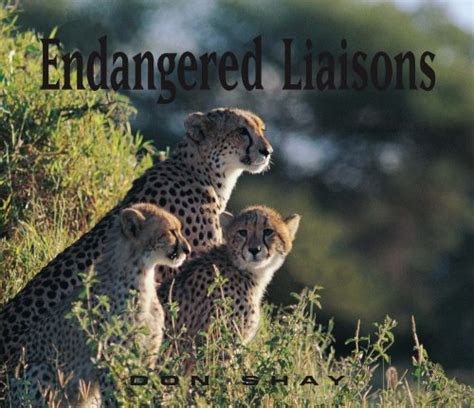 Buy Endangered Liaisons Book Online at Low Prices in India | Endangered ...